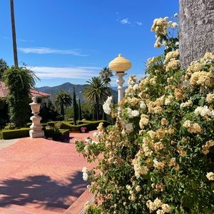 Meet your Posher, Dani